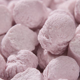 Boite de Pastilles aux Myrtilles